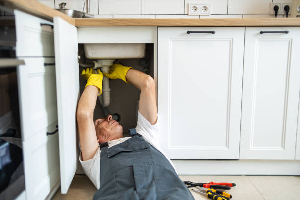 Best Clogged Drain Plumber  in Towamensing Trails, PA